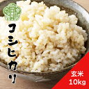 【ふるさと納税】【令和6年産】新米 コシヒカリ 玄米 10kg《 特別栽培米 》重永農産 世羅 こしひかり ごはん お米 米 玄米ご飯 美容 ダイエット 令和6年 A058-03