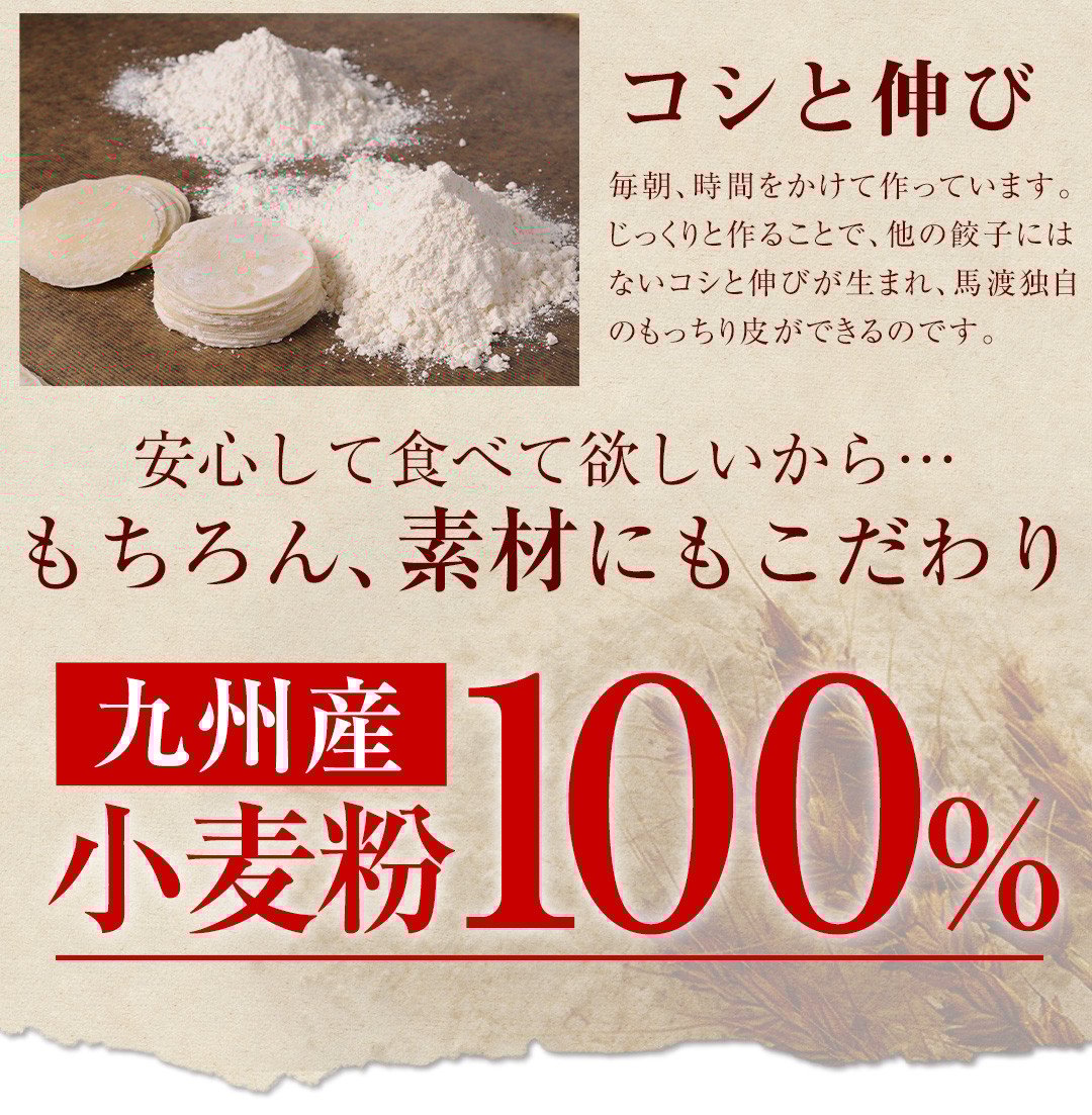 【宮崎空港で大人気!】＜馬渡のもっちり餃子160個＞2～3週間以内に順次出荷 餃子の馬渡 ぎょうざ ギョーザ ギョウザ 焼餃子 宮崎餃子 グルメ 国産 特産品 たかなべ 宮崎県 高鍋町 冷凍