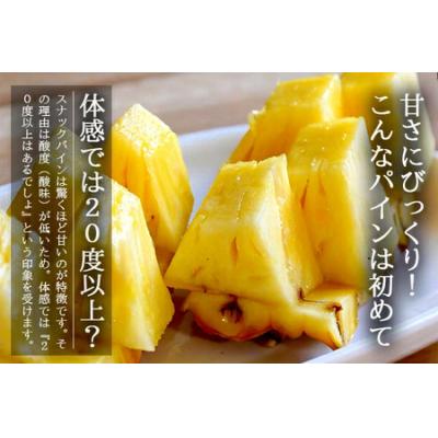 ふるさと納税 石垣市 <先行予約> 農家直送!石垣島産 スナックパイン 3玉入 約1.8kg (1.6〜2.0kg) <2 |  | 01