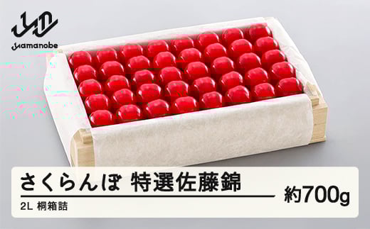 《先行予約》2026年 山形県産 特選佐藤錦 桐箱詰め 約700g 2L やまのべ多田耕太郎のさくらんぼ サクランボ F20A-055
