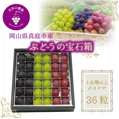 【ふるさと納税】岡山　花笑み農園『ブドウの宝石箱』3種以上(36粒入り)　3M-宝36【9月中旬～発送】【配送不可地域：離島】【1596635】