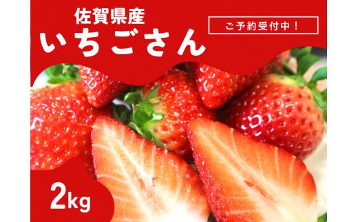 ＜先行予約受付中・令和7年2月以降順次発送＞濃厚苺”いちごさん” 2kg（A13721-04）