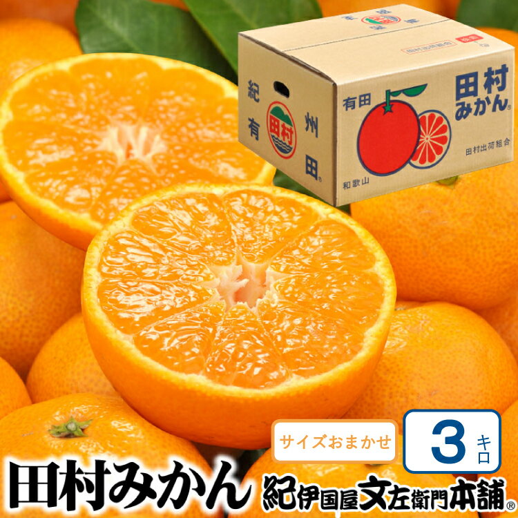 【ふるさと納税】 田村みかん 特選ギフト品 3kg サイズおまかせ 赤秀/紀州和歌山有田郡湯浅町田村地区産 ◆2026年11月下旬〜2027年1月中旬頃に順次発送(お届け日指定不可) 紀伊国屋文左衛門本舗