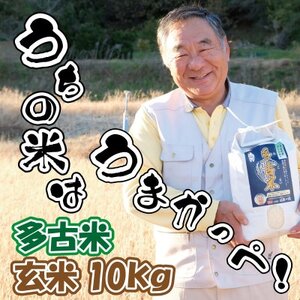 多古米グランプリ常連　佐藤さんのコシヒカリ【玄米】10kg【配送不可地域：離島】【1483709】