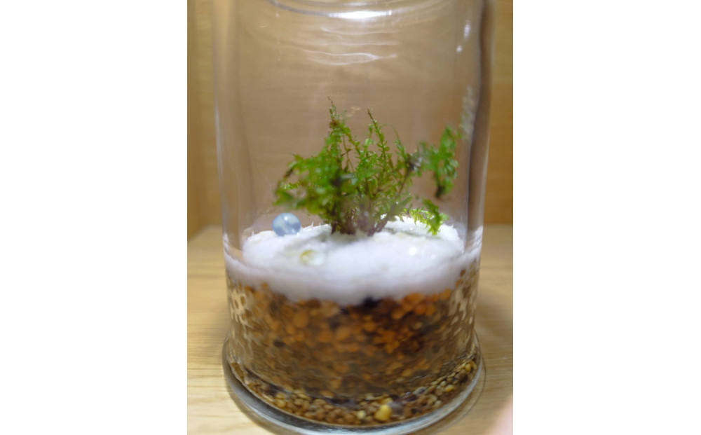 KOBE　COLORS　～STONE & MOSS～