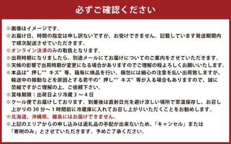 【無加温栽培（晴王）】岡山県産シャインマスカット 晴王 2房入り（1房580g以上）【2026年9月上旬～10月下旬 発送予定】【シャインマスカット シャイン マスカット 人気フルーツ 岡山フルーツ 