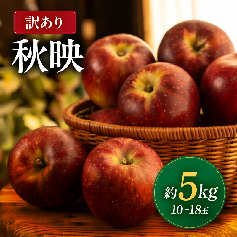 【ふるさと納税】 南信州産 秋映 訳あり 約5kg 10～18玉 JAみなみ信州DMセンター飯田市 | 秋映 りんご 林檎 アップル 千秋 つがる 果物 フルーツ 南信州 送料無料 ふるさと納税 長野県 飯田市 K14