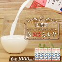 【ふるさと納税】なかしべつ牛乳プレミアム NA2 MILK 1L×6本 a2 牛乳 日本 a2ミルク a2牛乳 トレンド ヒット予測 ベスト10 SDGs JGAP 認証農場 お腹 ゴロゴロ 対策 ふるさと納税 北海道 中標津【14018】