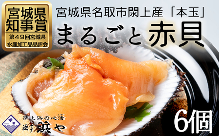 【閖上赤貝】まるごと赤貝　６個入り