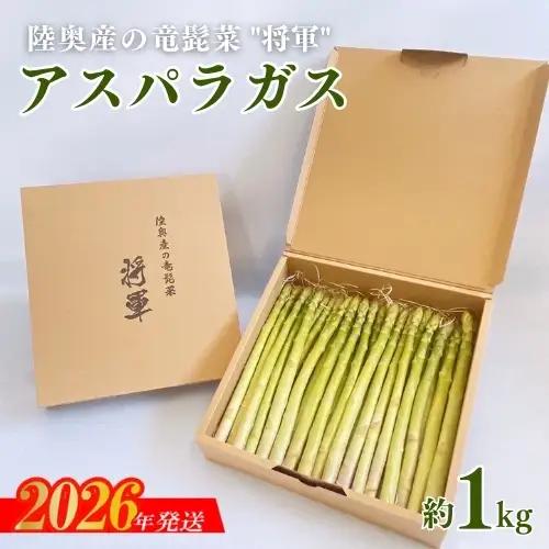 No.3250 陸奥産の竜髭菜（アスパラガス）"将軍" 約1kg【2026年発送】