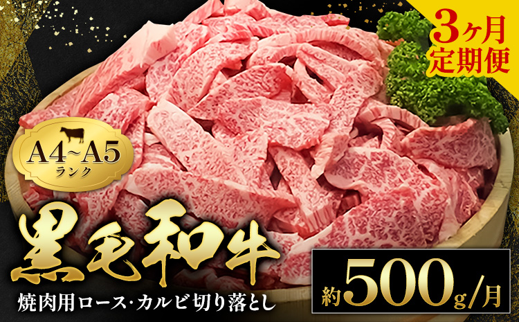 黒毛和牛 焼肉 ロース カルビ 切り落とし 500g A4 ～ A5 ランク 3ヶ月定期便 《お申込み月の翌月から出荷開始》 ランプ ミスジ イチボ 特上 ミシュラン 国産 肉 牛肉 黒牛 天草 苓北 熊本 産地直送 送料無料---AC05R605-3---