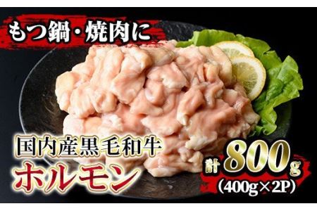 isa205 国内産黒毛和牛！ホルモン(計800g・400g×2P) 国産 牛 和牛 大腸 小腸 赤センマイ ミックス 小分け 真空パック もつ鍋 焼肉 煮込み BBQ バーベキュー アウトドア 冷凍 冷凍便【堀ノ内商会】