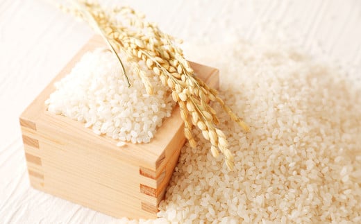 令和7年産 竹田銘水美人色選米 10kg 【白丹産：特別栽培米ヒノヒカリ】5kg×2袋