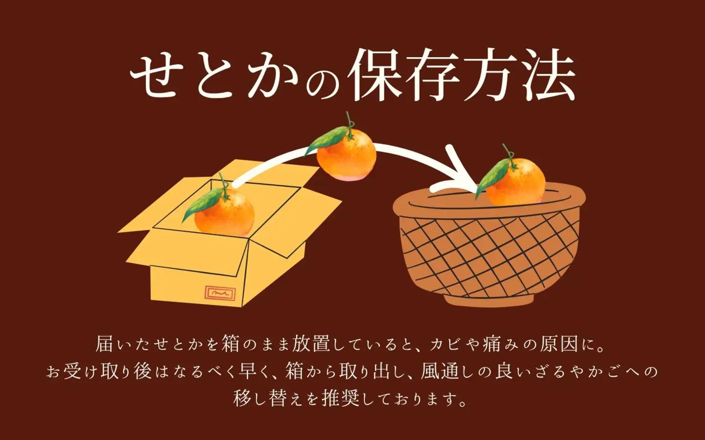 せとか 柑橘王国和歌山のせとか ご家庭用約5kg【uot748A】