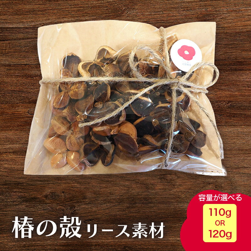 【ふるさと納税】 ≪選べる容量≫ 椿の殻 リース素材 1袋 110g／120g 【ひらない暮らし北限椿舎】 リース資材 素材 つばき ツバキ 殻 木の実 天然素材 材料 ワークショップ ハンドメイド 手作り クラフト DIY ディスプレイ インテリア 雑貨 青森県 平内町 F21J-382var