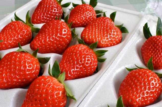 南信州産「いちご」 (300g×8パック)　【たかずやファーム】 果物類 苺 イチゴ 