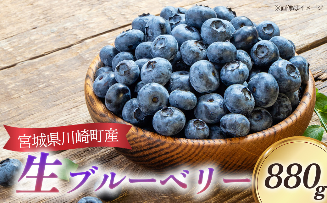 
            びいなすふぁあむ　生ブルーベリー　220g×4パック/計880g　【04324-0345】
          