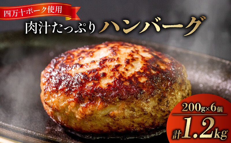 
ハンバーグ 四万十ポーク 入り 1.2kg ( 200g × 6個 ) 冷凍 真空 小分け 個包装 肉汁 たっぷり 大容量 大きめ 合挽き 牛肉 豚肉 保存料 不使用 ビーフ ポーク 合いびき肉 挽肉 ジューシー お弁当 おかず 惣菜 晩ごはん 贅沢 ギフト 贈り物 贈答

