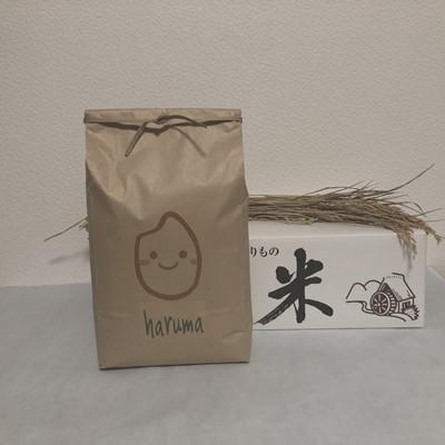 ふるさと納税 赤平市 【先行予約 令和8年産】ほりぐち農園直送のお米　精米したてゆめぴりか　5kg