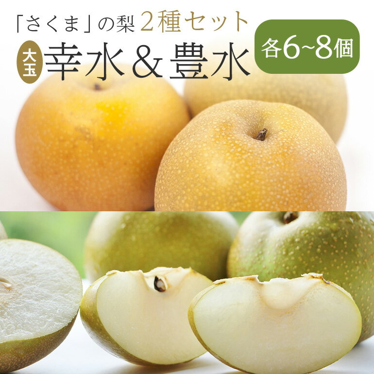 【ふるさと納税】さくま梨園 旬 梨 2種 セット 幸水梨 豊水梨 ギフト 贈答用 果物 フルーツ 笠間市 茨城県