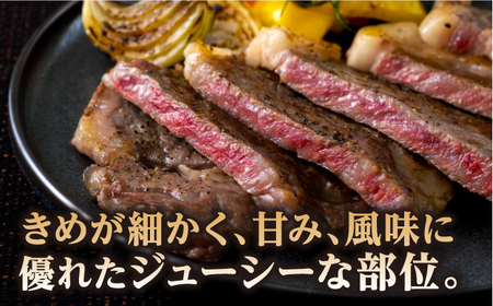 【全6回定期便】長崎和牛 サーロイン ステーキ 約200g×2枚 牛肉 【肉の牛長】[RCJ014]