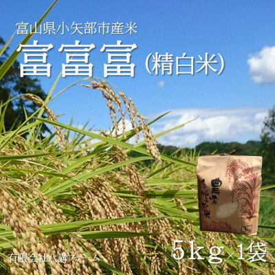 【ふるさと納税】【新米先行予約(2025年10月上旬から順次発送)】令和7年富山県産「富富富」(精米)5kg×1袋【1656120】