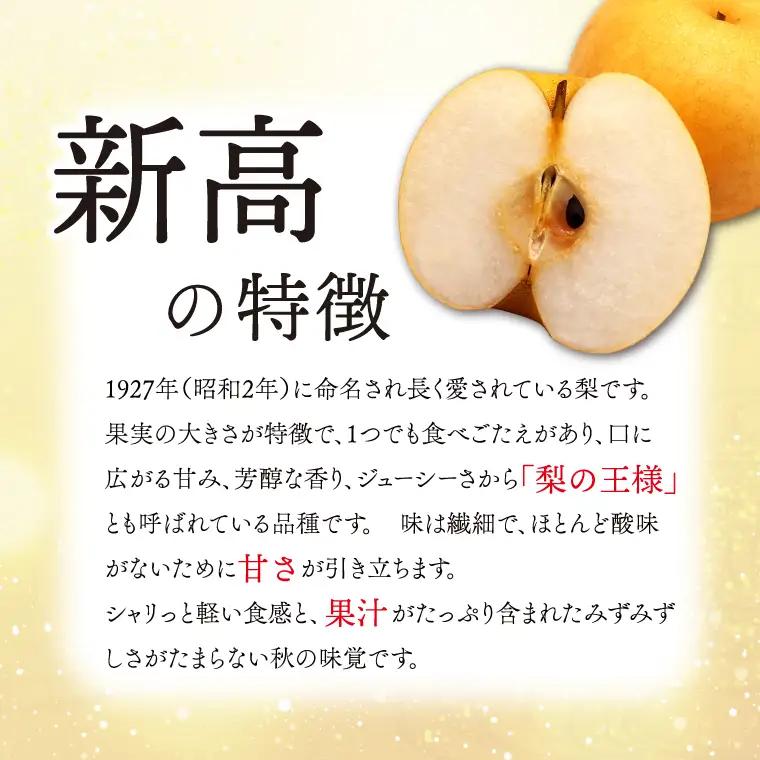梨 新高 5kg 先行予約 2026年発送 仁平果樹園 益子町産 DB004