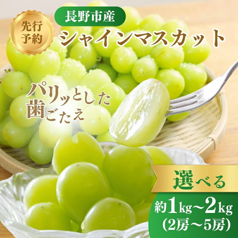 【ふるさと納税】ぶどう 先行予約 長野市産 シャインマスカット 選べる1～2kg 2025年9月中旬より順次発送 葡萄 ブドウ フルーツ 果物 シャイン マスカット デザート おやつ 信州 オンライン決済限定　お届け：2025年9月上旬～10月中旬