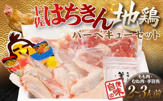 土佐はちきん地鶏 バーベキューセット（2〜3人前） もも肉 むね肉 手羽先 天日塩 BBQ アウトドア 料理 地鶏 モモ肉 ムネ肉 胸肉 鶏肉 とり肉 とりにく 肉 高知県 大川村 F6R-009
