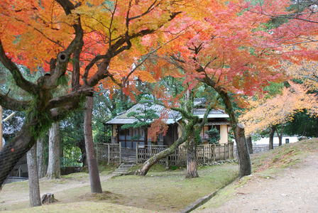 江戸三 ペアご宿泊券（1泊2食付） ご夕食は「特選料理」 250-002