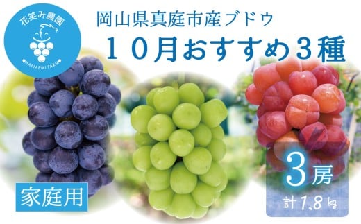 【2026年先行予約】土づくりからこだわったぶどう詰め合わせ 3種セット 1.8kg 3房 家庭用｜ ぶどう 葡萄 果物 くだもの フルーツ 送料無料 岡山県 岡山　ぶどう 粒 数量限定 ぶどう 食べ