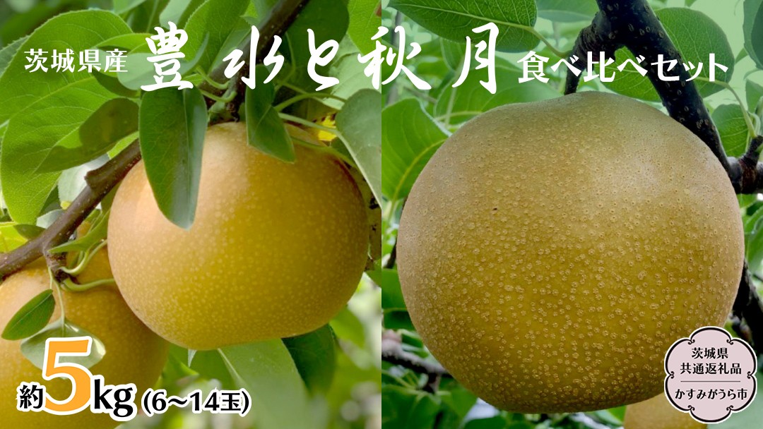 
            豊水 ・ 秋月 食べ比べ セット 約 5kg 6玉～14玉 (茨城県共通返礼品 かすみがうら市) 産地直送 久保田果樹園  フルーツ 甘い 直送 茨城 限定 ギフト 梨 秋月 あきづき 豊水 ほうすい 果物 [DH005sa]
          