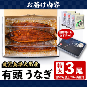 国産 鰻 蒲焼 3尾 計555g以上 うなぎ 鰻 有頭 特大【一般社団法人きもつき宇宙協議会】B57006