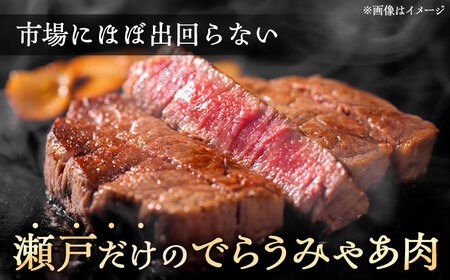 希少部位 瀬戸山麓牛ヒレステーキ用1枚300g（100g×3枚）/ 牛肉 冷凍 フィレ 国産 / 瀬戸市 / 関屋精肉店 [BBBQ021]
