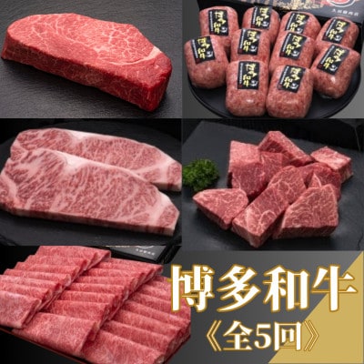 【毎月定期便】【博多和牛】ステーキ・薄切り・ハンバーグ(宇美町)全5回【配送不可地域：離島】