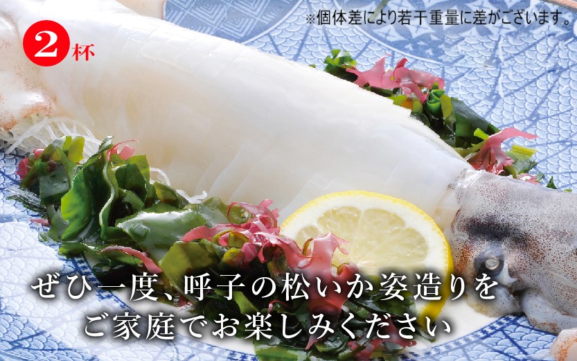 
                  「佐賀呼子」松いか姿造り(250g×2杯)
                