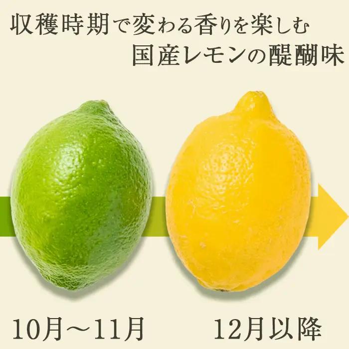 《12月発送》【皮まで食べられる】海と太陽のレモン【秀品】３kg（約25個） [0011-0057]