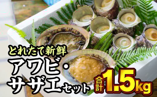 活アワビ・活サザエセット 1.5kg あわび 鮑 アワビ さざえ 栄螺 サザエ 活 海鮮 生 刺身 お刺身 あわびのバター焼き 貝 海鮮 BBQ さざえご飯 壺焼き 冷蔵 冷蔵便 直送 冷蔵配送 三重県 尾鷲市 HA-76