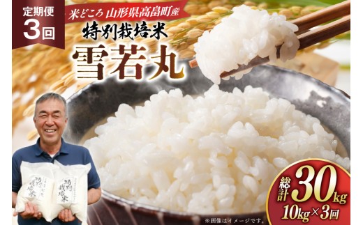 米 定期便 3回 令和8年 雪若丸 10kg 3回 計30kg [渡部ファーム 山形県 高畠町 tk06ays810047] お米 白米 精米 ごはん ご飯 ブランド米