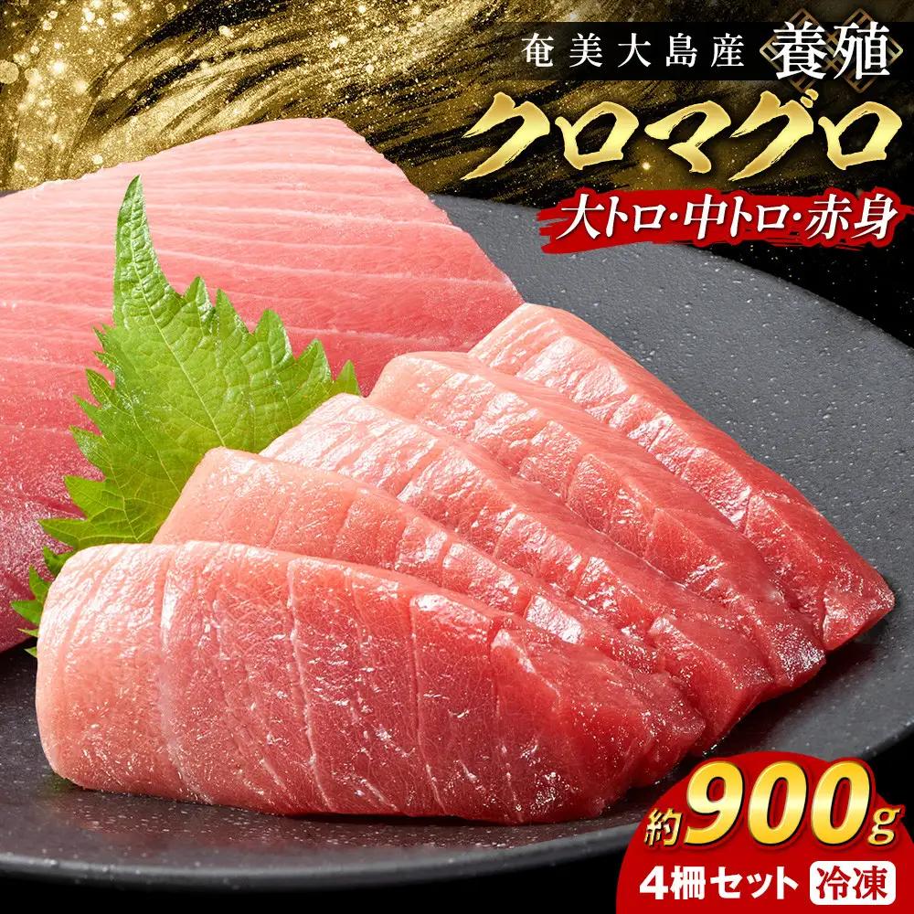 クロマグロ 黒マグロ 4柵セット 900g以上 大トロ 中トロ 赤身 冷凍 奄美大島産養殖