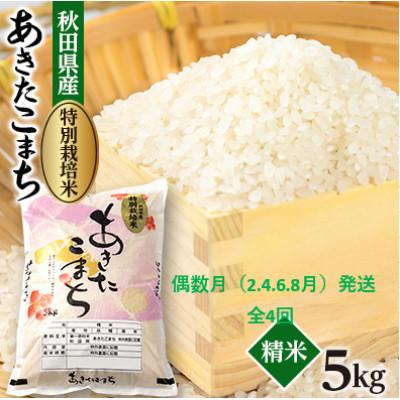 ふるさと納税 大潟村 【発送月固定定期便】偶数月発送　特別栽培米あきたこまち5kg全4回