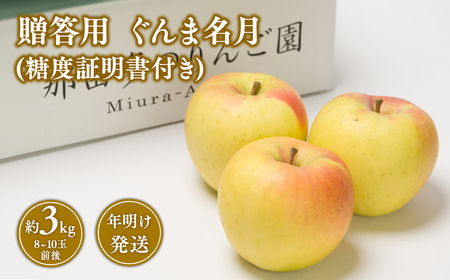 【1~2月発送】 贈答用ぐんま名月約3kg（糖度証明書付き） 【青森県 平川市 那由多のりんご園】贈答 青森 青森県産 平川 りんご リンゴ 林檎 くだもの 果物 フルーツ 名月 【hi-0005-036】