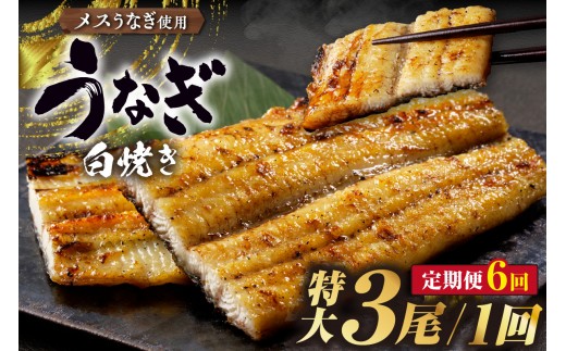 【定期便6ヶ月】三河高浜産三代目養鰻家の白焼きうなぎ 特大3尾