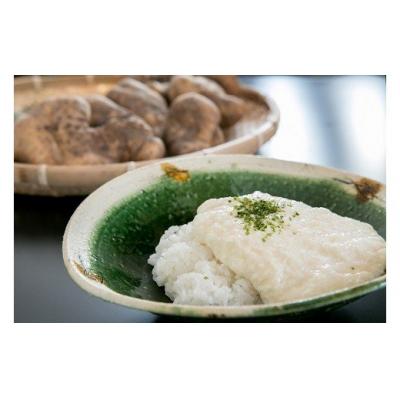 ふるさと納税 山口市 徳地やまのいものすりおろしトロロ　100g×2個 E060 |  | 02