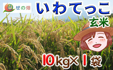 【2024年11月発送開始】 令和6年産 新米 岩手県産 いわてっこ 玄米 10kg×1袋 ／ 米 産地直送 農家直送 【せの畑】