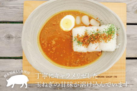 AB007【定期便】登り窯カレー（年3回：4月・8月・12月）