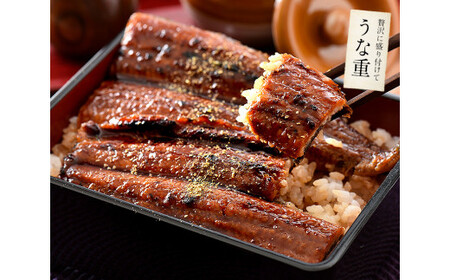 [053-c005] 国産 うなぎ蒲焼き 大サイズ 約165g × 5尾