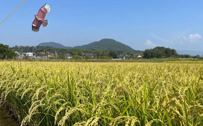 〈令和7年度産米〉 【先行予約】 【天日塩を使用】一鹿米 旭一号 米 玄米 5kg【株式会社 夢アグリ】 令和7年産 [ZCL015]