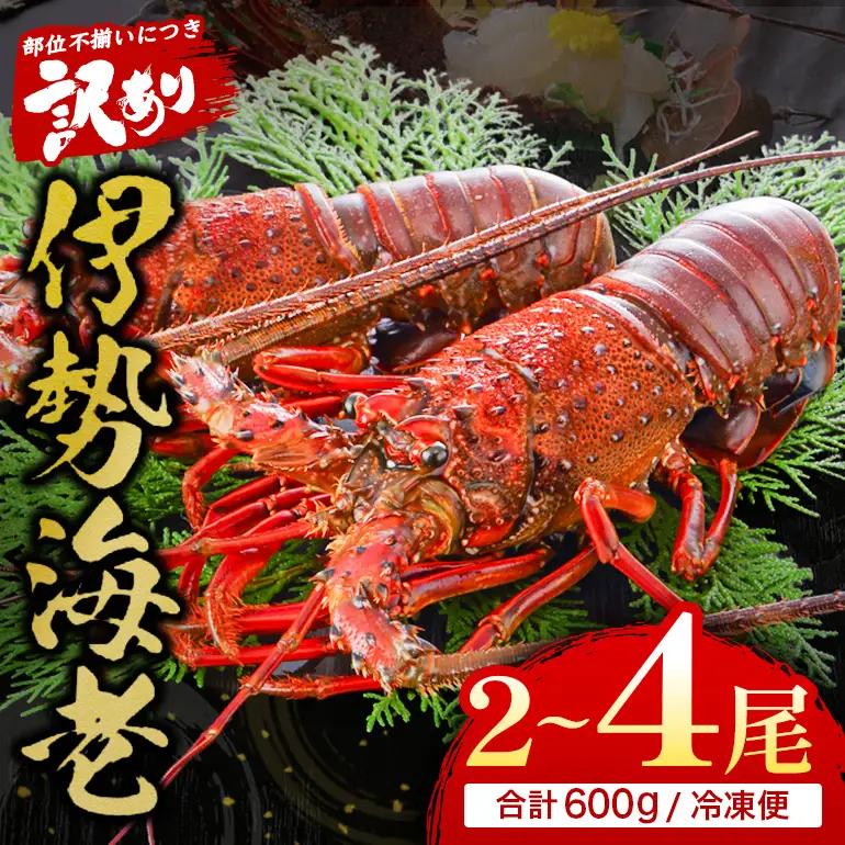活冷伊勢えび 2～4尾（600g）バタバタしたら角と足がとれちゃいました　【BB25】