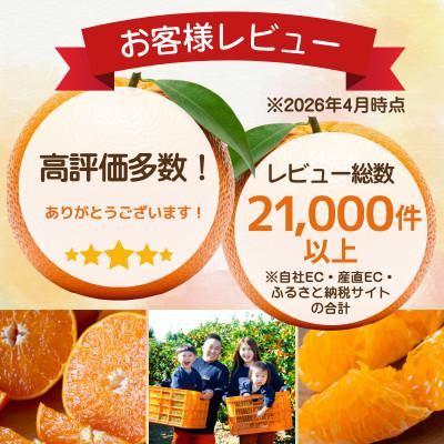 ふるさと納税 八幡浜市 【発送月固定定期便】「こたつの上の冬物語」高級3品種　まどんな+甘平+せとか【H49-73】全3回 |  | 01